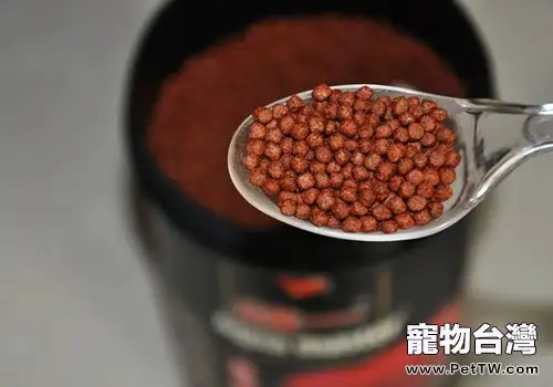 給觀賞魚配製顆粒魚糧需要注意什麼