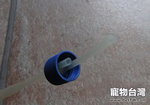 教你製作簡單的水族箱氣體鎮流器