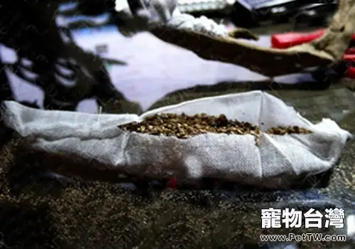 教你製作生態缸之沉木附生青苔的方法