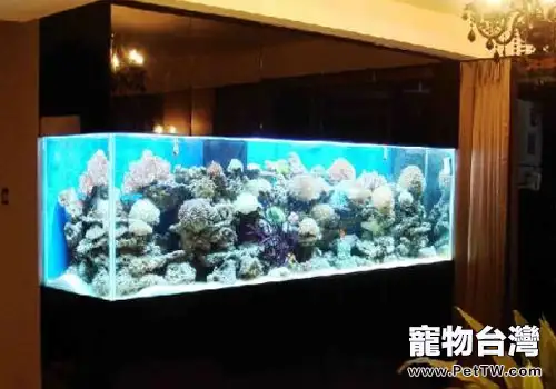 不要讓水族箱污染家裡的室內環境