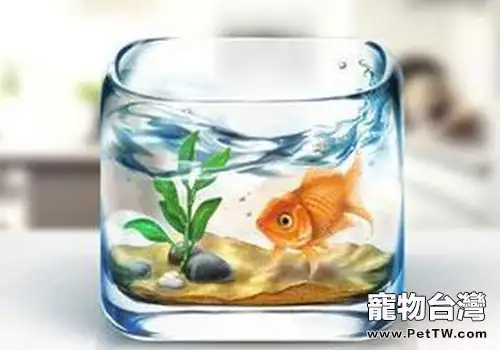 魚缸的虹吸換水法