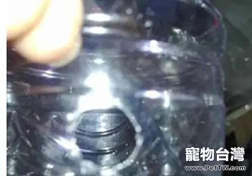 教你自製魚缸的溶氧器