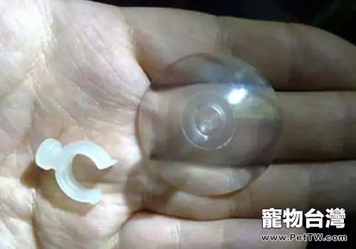 教你自製魚缸的溶氧器