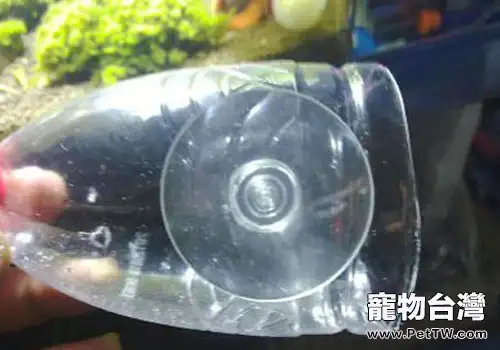 教你自製魚缸的溶氧器