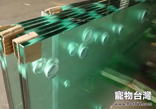 水族飼養中魚缸玻璃的選擇