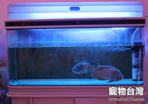 教你如何用瓶蓋緩解氣泵的噪音(共7張圖片)-寵物台灣