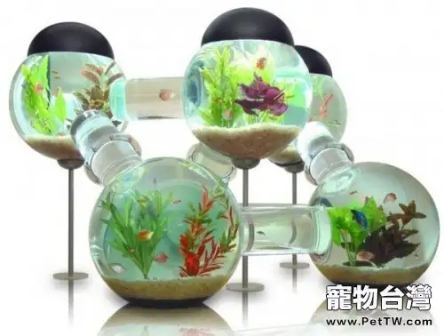 魚缸過濾濾材的放置順序 (1圖)-寵物台灣