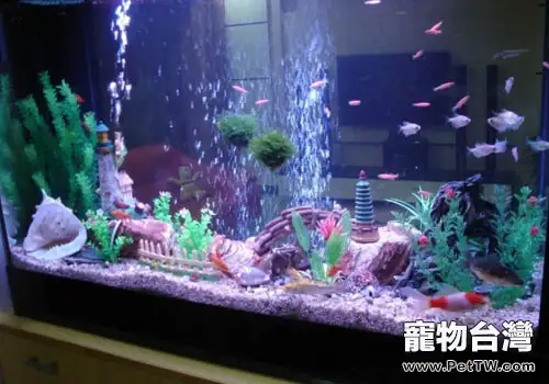 水族箱箱外過濾器介紹