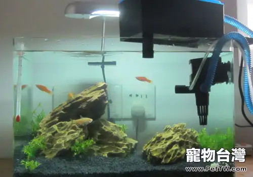 魚缸過濾器有哪些?(1圖)-寵物台灣