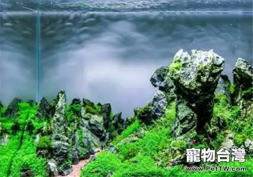製作魚缸造景重要的七個步驟(1圖)-寵物台灣