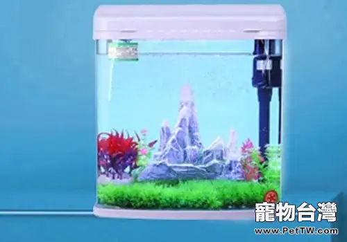 水族箱使用的小竅門有哪些?(1圖)-寵物台灣