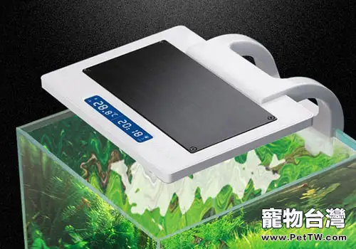 水族箱怎麼照明?(1圖)-寵物台灣