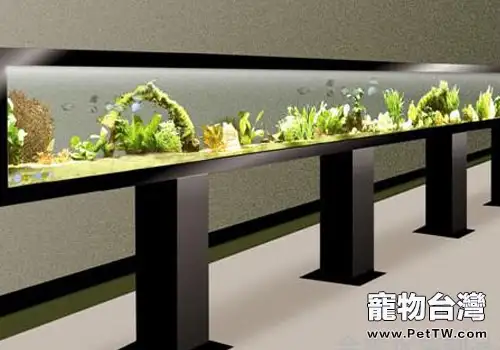 養魚新趨勢:高科技養魚?(共2張圖片)-寵物台灣