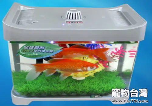 觀賞魚魚缸的玻璃膠怎麼選？