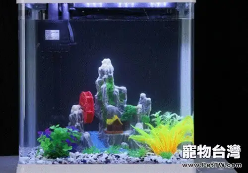金魚魚缸換水的簡便方法