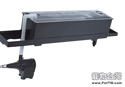 常見的水族箱過濾器有哪些(1圖)-寵物台灣