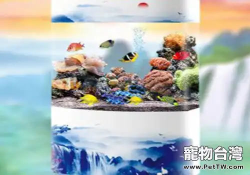 魚缸的日常保養怎麼做？