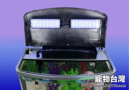 常用的水族箱過濾器介紹