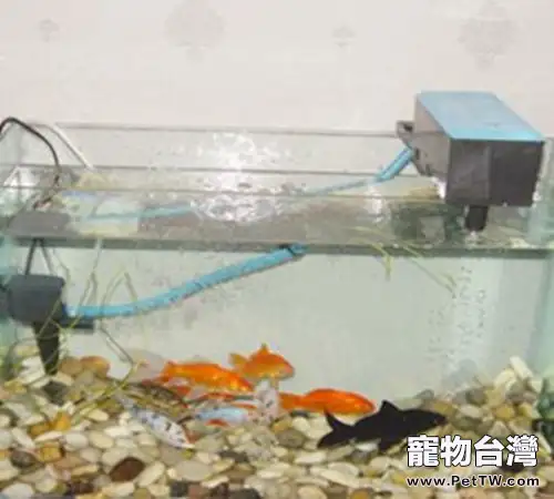 水族箱過濾器必備條件