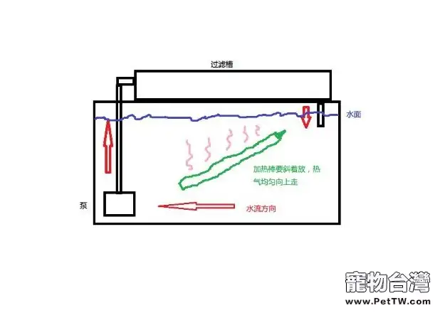 水族箱使用加熱棒的注意事項