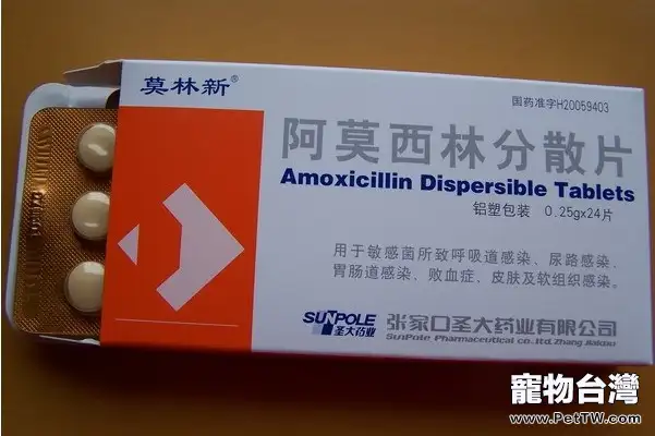 阿莫西林在寵物龜疾病中的應用