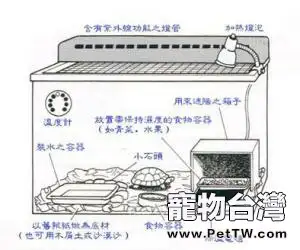 各種龜窩的佈置圖分享（圖）