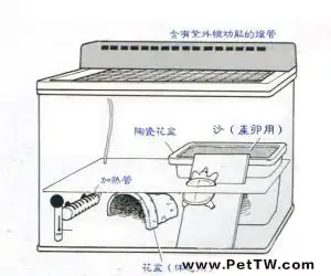 各種龜窩的佈置圖分享（圖）