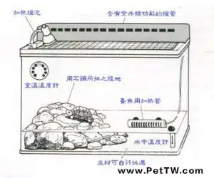 各種龜窩的佈置圖分享（圖）