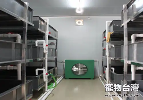 溫室養龜技術(1圖)-寵物台灣