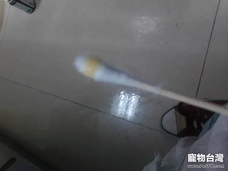 寵物龜眼部腐皮與白眼病的鑒別診斷