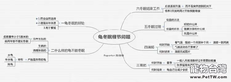 寵物龜冬眠過程中的細節問題