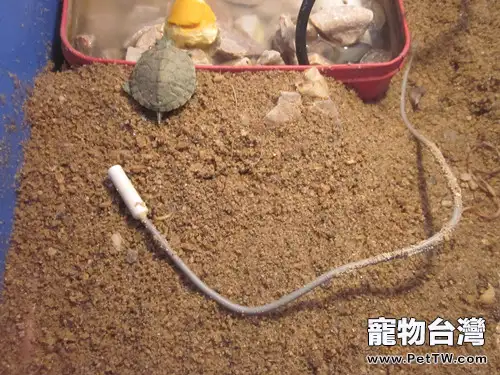 一個水龜/半水龜家庭簡易飼養環境介紹