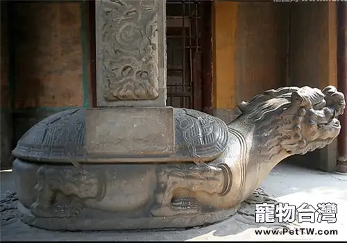 中國最大的石龜