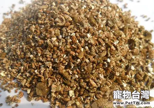 孵化龜鱉用砂如何消毒(1圖)-寵物台灣