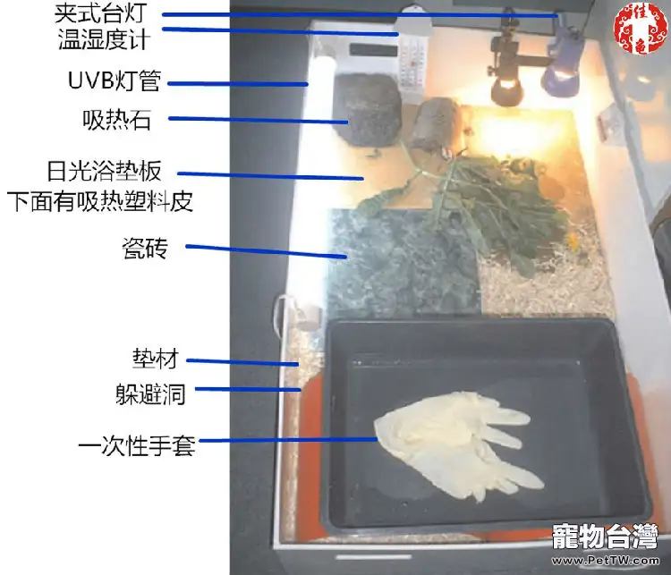 寵物龜疾病護理方法介紹系列之病房設計