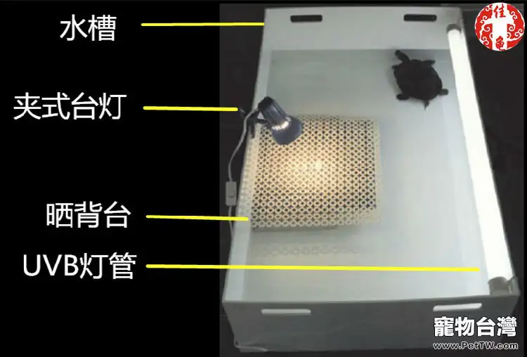 寵物龜疾病護理方法介紹系列之病房設計