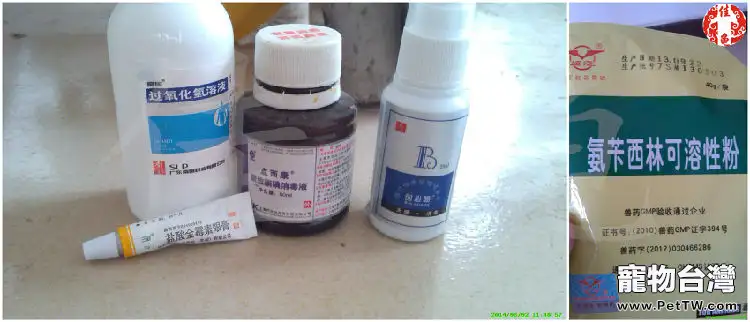 一例紅腿陸龜被藏獒咬傷的病例