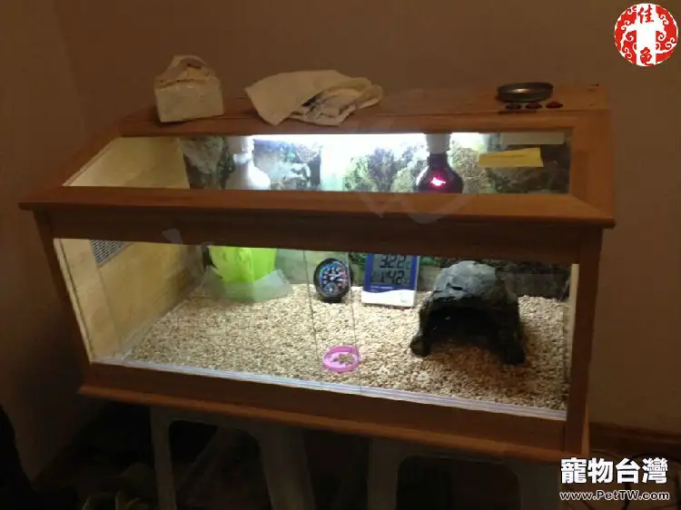 你知道各種各樣的爬蟲燈具有什麼作用嗎(共5張圖片)-寵物台灣