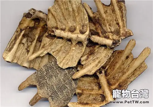 龜板的藥用價值和加工方法