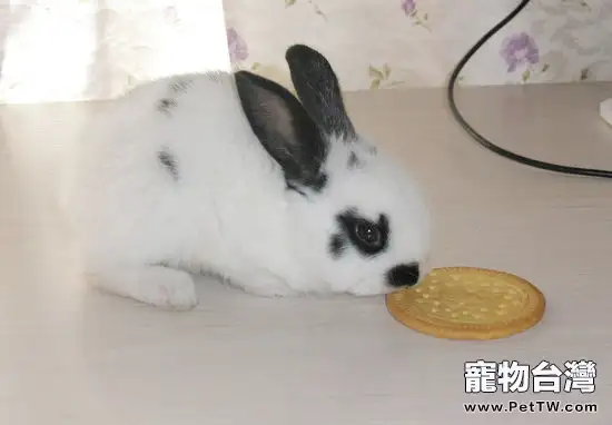 顆粒飼料飼養兔子有什麼好處 
