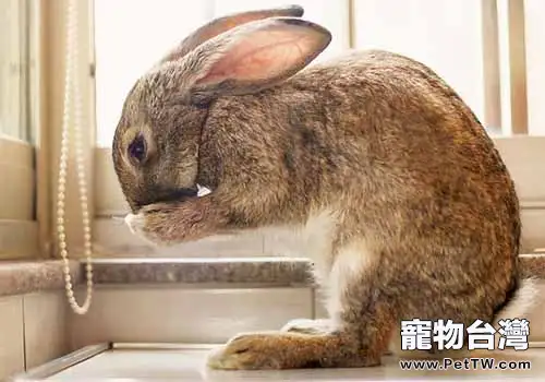 中草藥飼料添加劑特別對兔等食草動物影響