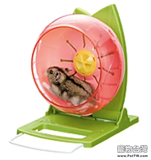 倉鼠的跑輪介紹