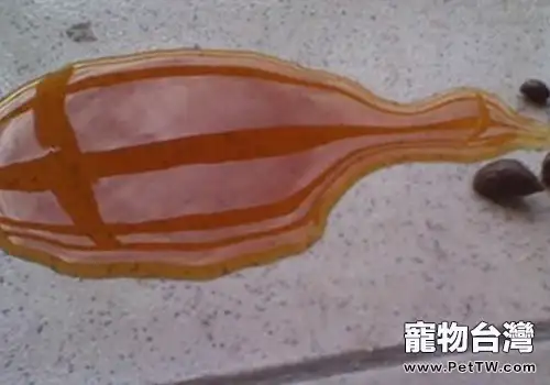 兔子出現紅色尿液是否一定是尿血(共2張圖片)-寵物台灣