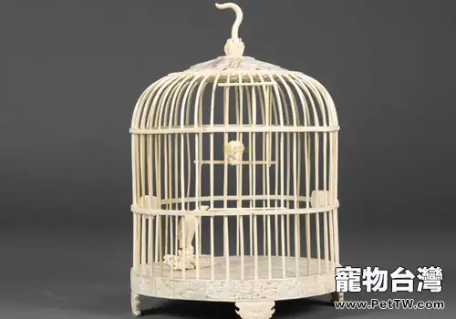 鳥籠的常用消毒方法及消毒藥物有哪些(共3張圖片)-寵物台灣