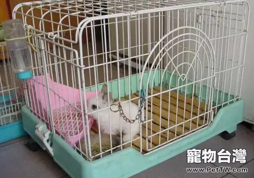 對於兔籠有哪些需要注意的(共2張圖片)-寵物台灣