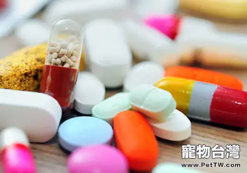 菌群對兔子的腸道有何作用(共2張圖片)-寵物台灣
