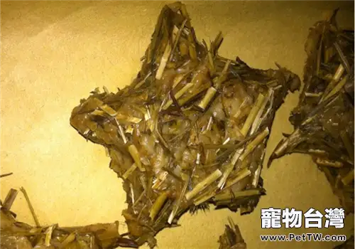 【美食攻略】自製兔兔吃的草餅(1圖)-寵物台灣