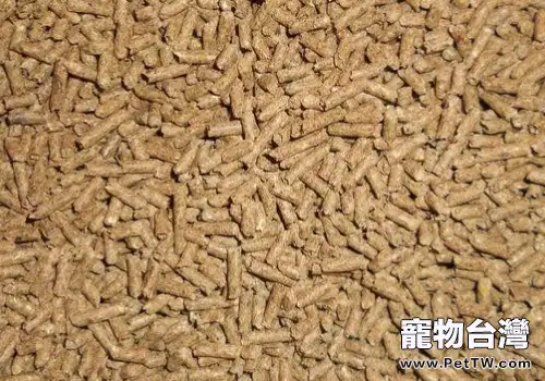 喂寵物兔糧要注意哪些問題