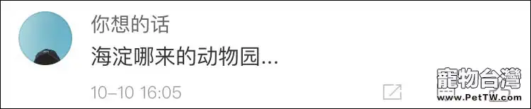 北京動物園丟失一頭2噸重大象？警方：虛假消息 所有大象都在！