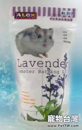 飼養倉鼠前要準備哪些用品(1圖)-寵物台灣